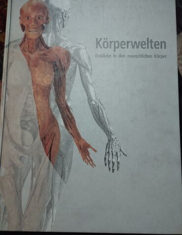 bonistika katalog: Körperwelten Katalog zur Ausstellung Пластинация. На немецком . Много