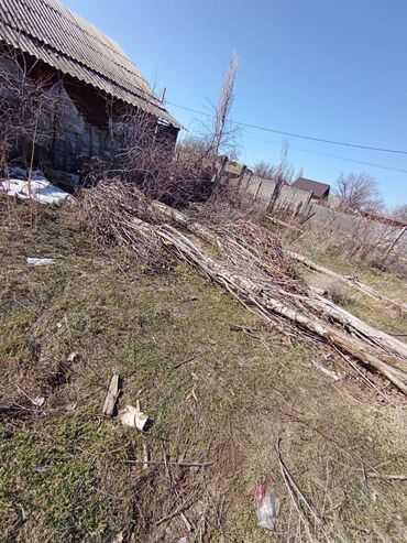 анар бак участок: 8 соток, Курулуш, Кызыл китеп