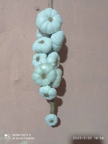 белый жемчуг удобрение бишкек: Үй жана бакча үчүн декор