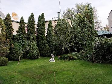 финский дом: 500 м², 6 комнат и более — 7