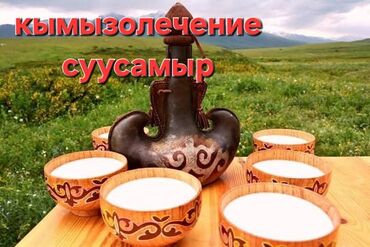 Туристические услуги: Кымызолечение в Суусамыре. 5 маал бээнин сүтү. Кымыз. Боз-үйдө уктоо