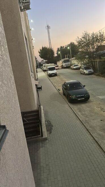 сниму дом или квартиру: 2 бөлмө, Менчик ээси, Чогуу жашоосу жок