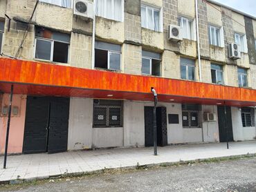 Kommersiya daşınmaz əmlakının satışı: Продам помещение свободного назначения в центре города Ленкорани на — 2