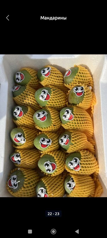 Мандарины: Мандарины Оптом — 8