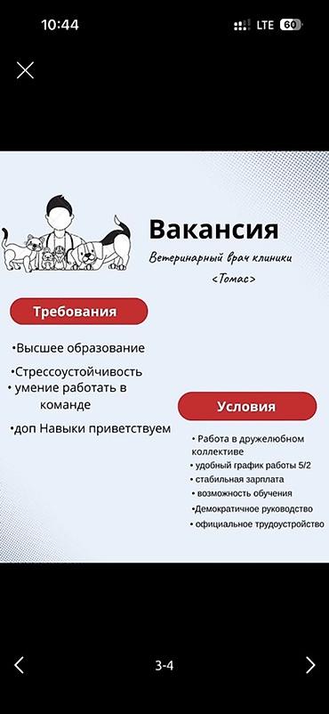 вет аптеки: Требуется Ветеринар, Оплата: Ежемесячно, Официальное трудоустройство — 1