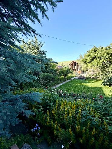 Продажа дач: 🏡 Усадьба мечты в селе Кой-Таш — уголок тишины, природы и комфорта! 🌲✨ — 20