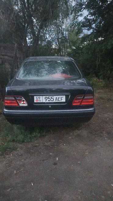 argb controller: Mercedes-Benz E-Class: 1996 г., 3.2 л, Автомат, Бензин, Седан — 4