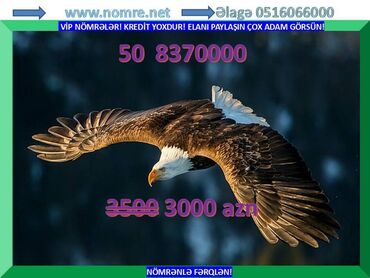 azercell internet modem: Nömrə: ( 050 ) ( 8370000 )
