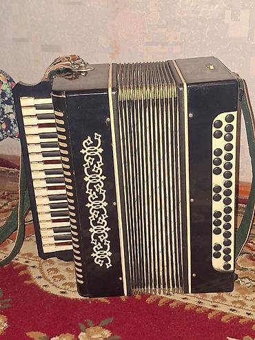 akkordeon: Akustik Akkordeon, İşlənmiş — 1