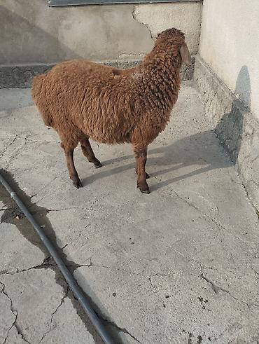 Сварка: Сварка | Камины Высотные работы — 5