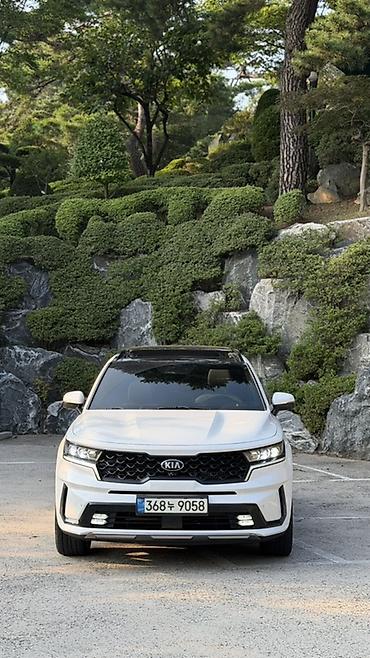мотор морнинг: Kia Sorento: 2020 г., 1.6 л, Автомат, Гибрид, Кроссовер — 1