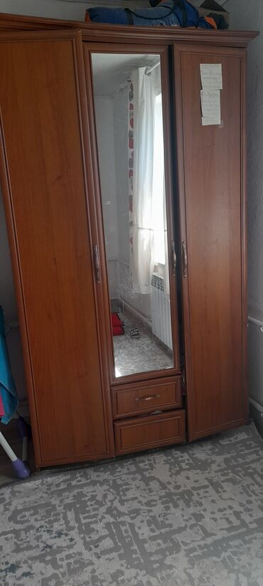 шкаф двустворчатый для одежды: Кийим салуучу шкаф, Колдонулган, Түз, Жыгач