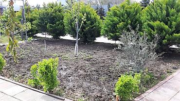kıraye: 200 kv. m, 5 otaqlı, Hovuzlu, Kombi, İnternet, Telefon — 8