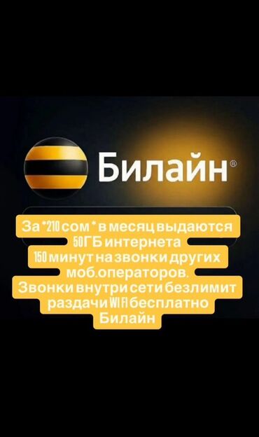 интернет провайдер: Тариф Beeline - Абонентская плата: 210 сом в месяц - Интернет: 50 ГБ