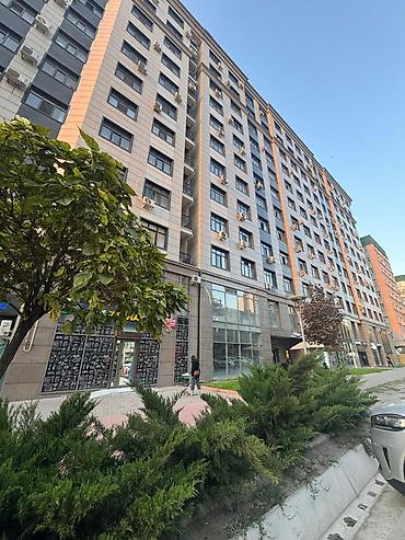 сириус плюс: 1 комната, 47 м², Золотой квадрат 10 этаж — 4