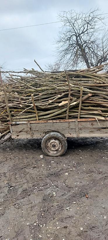 Traktorlar: Özəl yığıma mini traktor + qoşqu - Ümumi təyinat: bağ, bostan və — 7