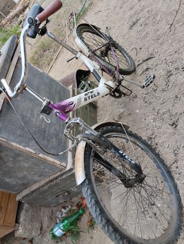 Svitşotlar: Svitşot, 4XL — 39