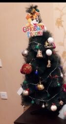 işlənmiş yolka: Yolka 1metrelik oyuncaqlari ile birlikde.isigida var