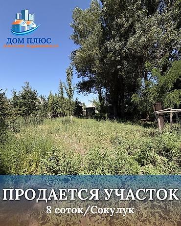 думал: 8 соток, Для строительства — 1