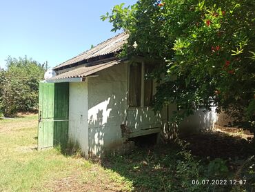 Bağ evlərinin satışı: Nabranda çox qözel menzerede hem denize yaxın hemde meşenin kenarında — 8