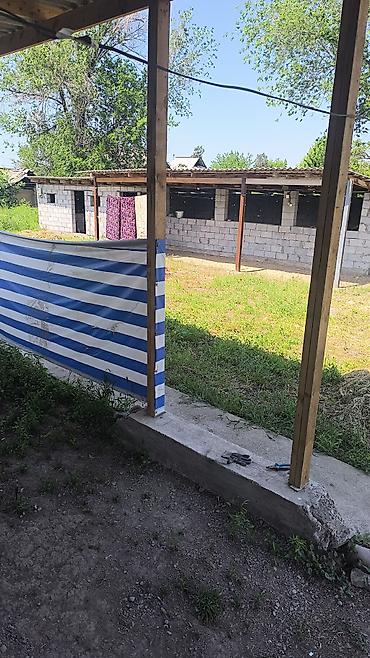 с хранения: Дачный участок с домиком и огородом - Просторный ровный участок в — 5