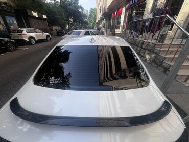 arxa spoyler: Spoyler, İşlənmiş, Plastik, bmw f30