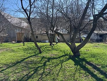 Продажа участков: 15 соток at lalafo.kg — 7 Продажа участков: 15 соток — 7