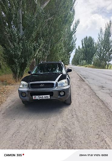 киа внедорожник: Hyundai Santa Fe: 2003 г., 2.4 л, Механика, Газ, Кроссовер — 1