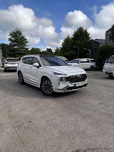 купить дверные ручки: Hyundai Santa Fe: 2021 г., 1.6 л, Гибрид, Кроссовер — 4