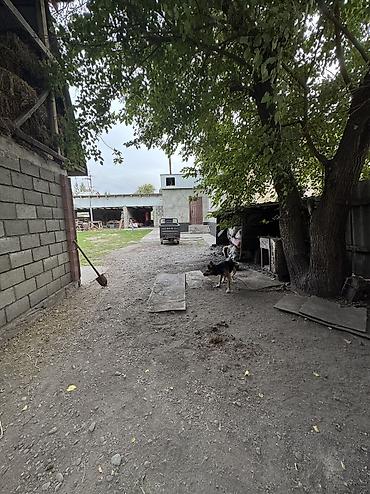 Продажа коттеджей и домов: 📍 В Московском районе, в селе Беловодское — продаётся угловой дом на — 17
