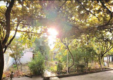 Bağ evlərinin satışı: Qusar, 210 kv. m, 7 otaqlı, İnternet, İşıq, Su — 3