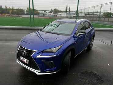 Lexus: Lexus NX: 2019 г., 2 л, Автомат, Бензин, Кроссовер