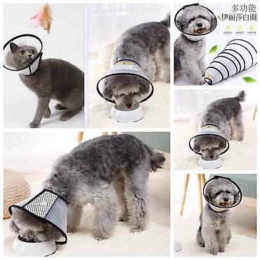 Зоотовары: Продаю игрушку/когтеточку/лежанку 3в1,с кошачей мятой,вашему котику at lalafo.kg — 11 Зоотовары: Продаю игрушку/когтеточку/лежанку 3в1,с кошачей мятой,вашему котику — 11