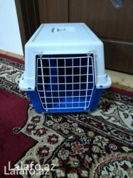 İnformatika: Pro qefes, mawinla ve ya el ile heyvanlari dawiya bilersiz. Texmini