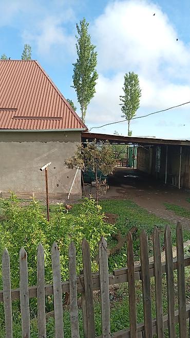 полки б у: Продаю дом,5соток, общий площадь дома 80 м/кв,зал2 спальни,и кухня — 2