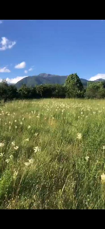 qalada torpaq: 52 sot, Kənd təsərrüfatı, Mülkiyyətçi, Kupça (Çıxarış) — 10