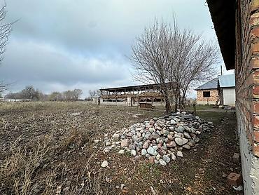 Продажа коттеджей и домов: Трёхкомнатная времянка и новый дом четыре комнатные плюс сарай 20/6 — 8