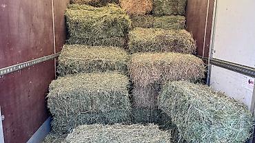 Корма для с/х животных: Сено в тюках 2 кос беде самовывоз - Формат: прямоугольные тюки — 4
