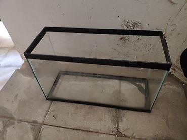 akvarium azn: Şüşə akvarium. Ölçüleri:45 uzunluq 27 hundurluk 18 eni ela — 1
