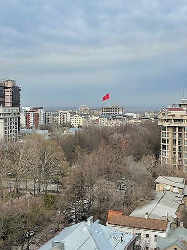 Продажа квартир: 3 комнаты, 117 м², Элитка, 11 этаж, Готовая ПСО (под самоотделку) — 2