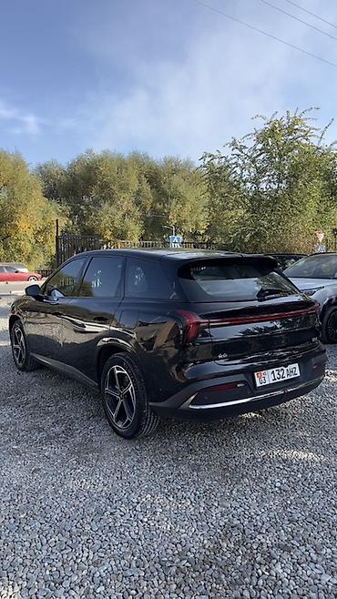 wuling mini ev: BYD : 2024 г., Электромобиль, Кроссовер — 2