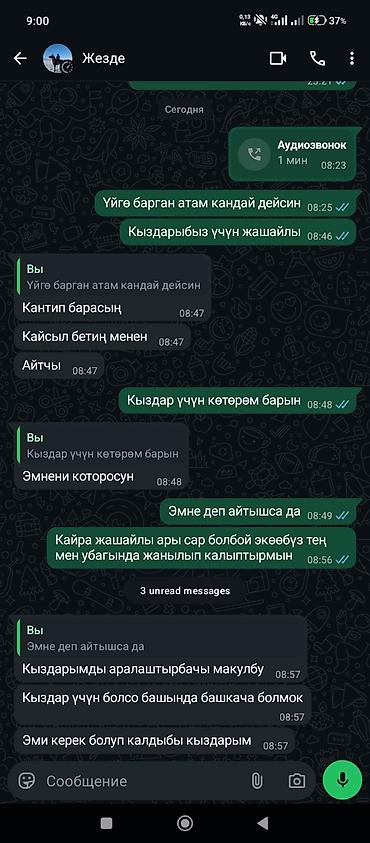 Набор десертов Rainbow Fruit Shape, Hata Pudding - Формат: готовые