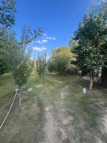 Продажа домов: Ыссык-Кол району Кош-Кол айылынан жер там сатылат Баня бар 17 сотых — 5