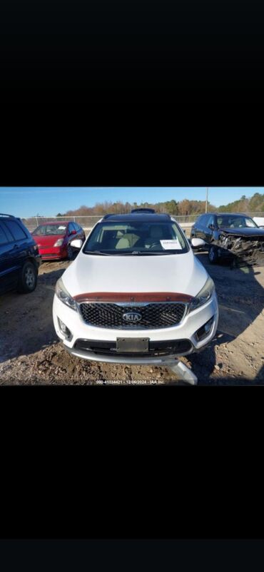 Kia: Kia Sorento: 2 l | 2016 il