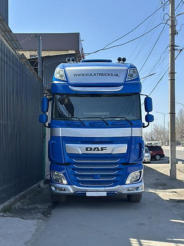 Тягачи: Тягач, DAF, Без прицепа — 2