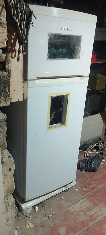 generator ev ucun: 300 yumurta, Azərbaycan, Bütün növ quşlar üçün — 2
