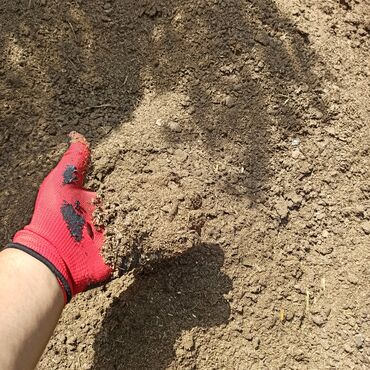 Peyin: Toz halinda mal peyini - kisesi 2,80 q. ( boyuk kepek kisesinde) — 1