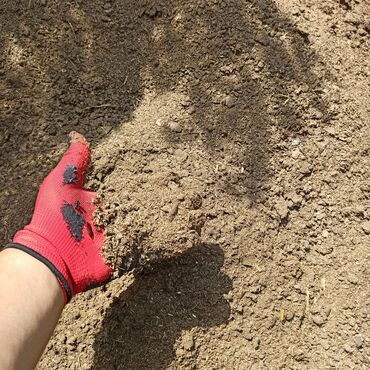 Peyin: Toz halinda mal peyini - kisesi 2,60 q. ( boyuk kepek kisesinde) — 2