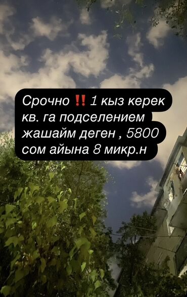 сдаю комнату с подселением восток 5: Подселение в квартиру — требуется 1 девушка. Местоположение: 8