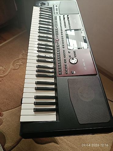 Sintezatorlar: Sintezator, Korg — 12